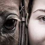 Terapia con caballos ¿qué beneficios tiene convivir con estos animales?