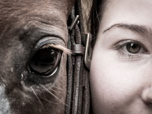 Terapia con caballos ¿qué beneficios tiene convivir con estos animales?