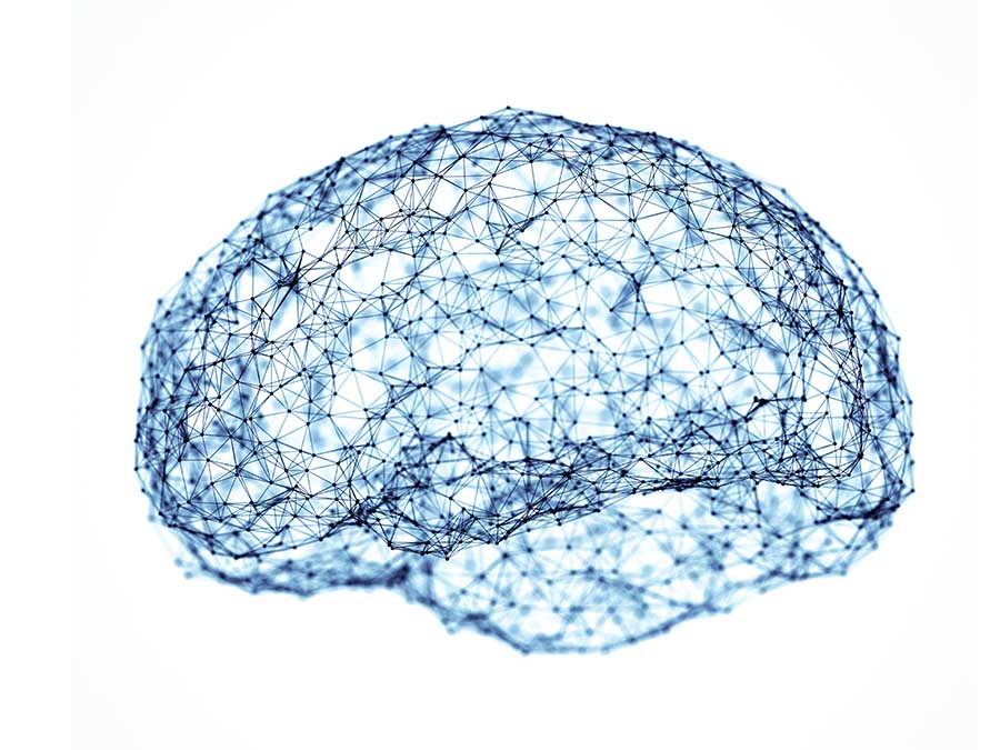 Descodificación Biológica Original, un vuelco a las terapias alternativas