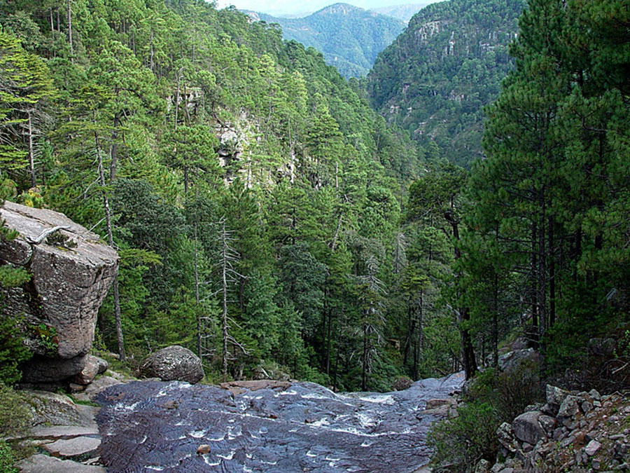 Parque Mexiquillo