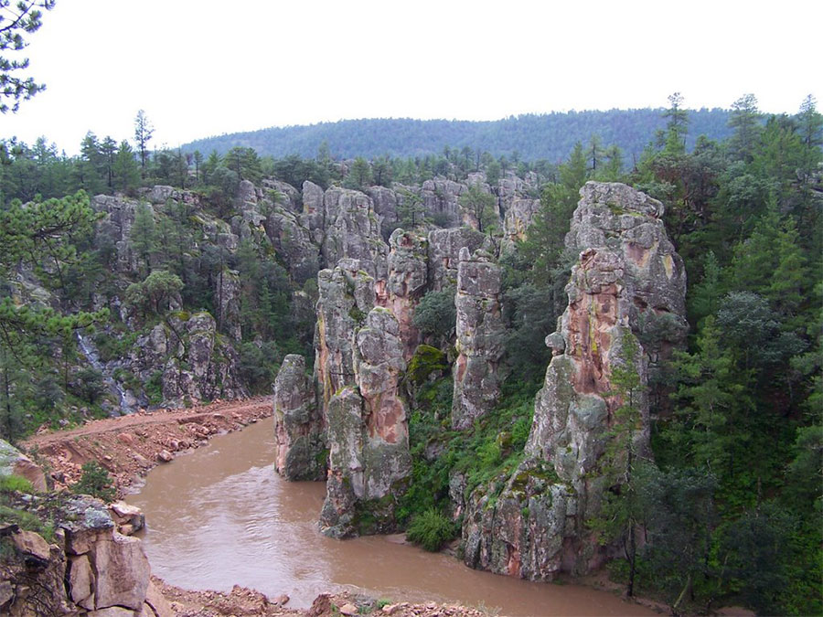 Parque Mexiquillo