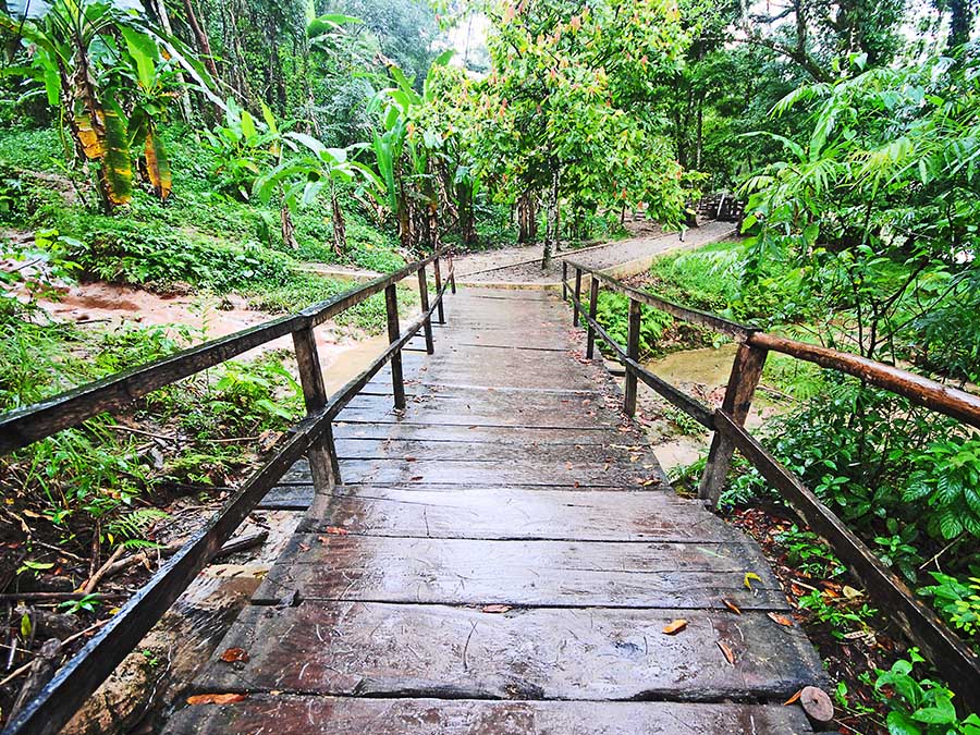 Reserva de la Biósfera Calakmul 