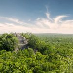 Reserva de la Biósfera Calakmul, historia maya y riqueza natural