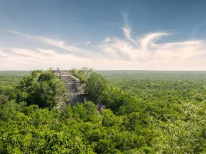 Reserva de la Biósfera Calakmul, historia maya y riqueza natural