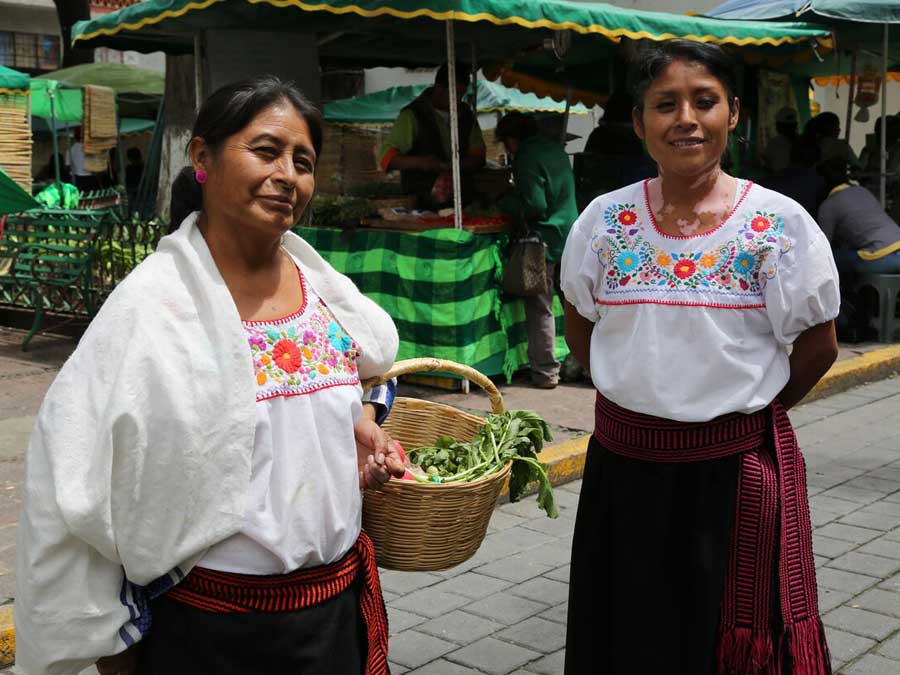 Conoce el Mercado Alternativo de Productos Orgánicos de Tlaxcala