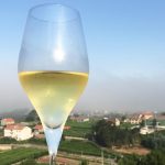 Rías Baixas 2017, especial sobre comida y vinos de Galicia