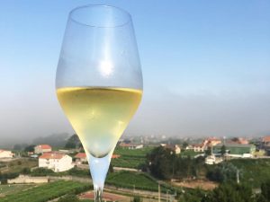 Rías Baixas 2017, especial sobre comida y vinos de Galicia