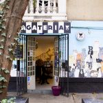 La Gatería, un cat-café en la Roma que es puro amor y ronroneos