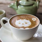 Mimos y felinos, todo a la vez en estos cafés gatunos de la CDMX