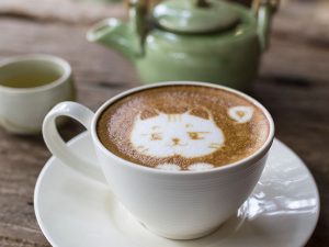 Mimos y felinos, todo a la vez en estos cafés gatunos de la CDMX