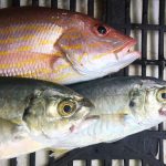 DOS restaurante en Veracruz, de pesca, pescadores y productores