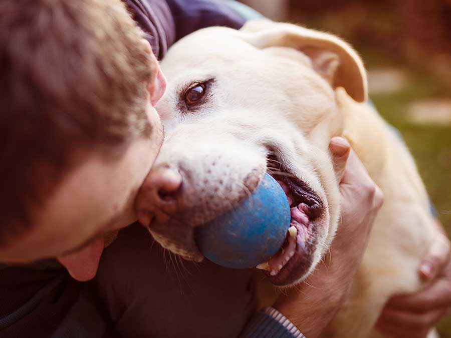 7 preguntas a Kmimos, red de personas que cuidan perros en sus propias casas