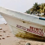 Del mar al restaurante, un día de pesca en Veracruz