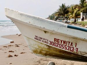 Del mar al restaurante, un día de pesca en Veracruz