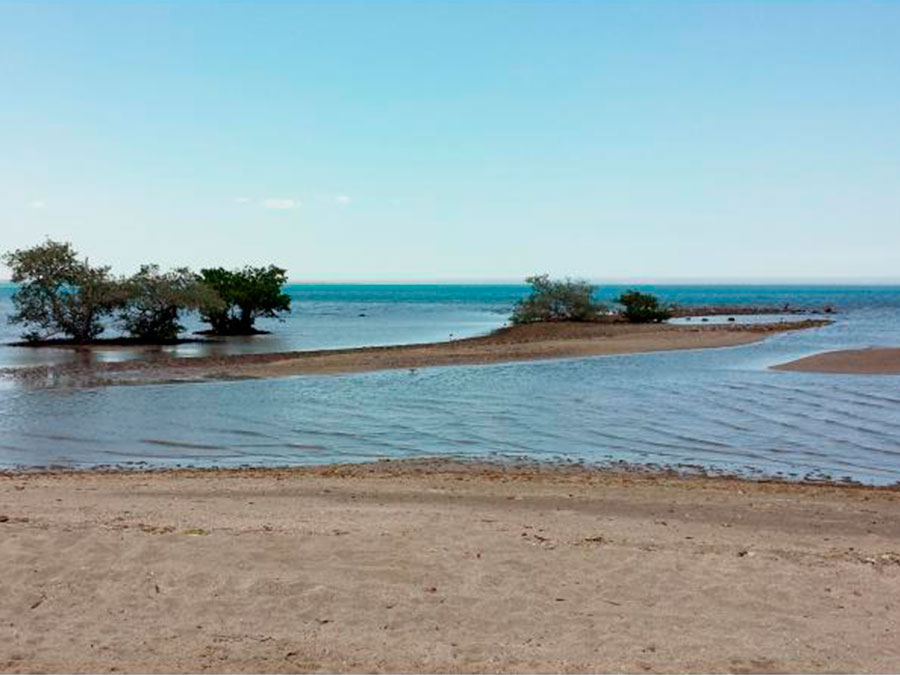 playas para acampar