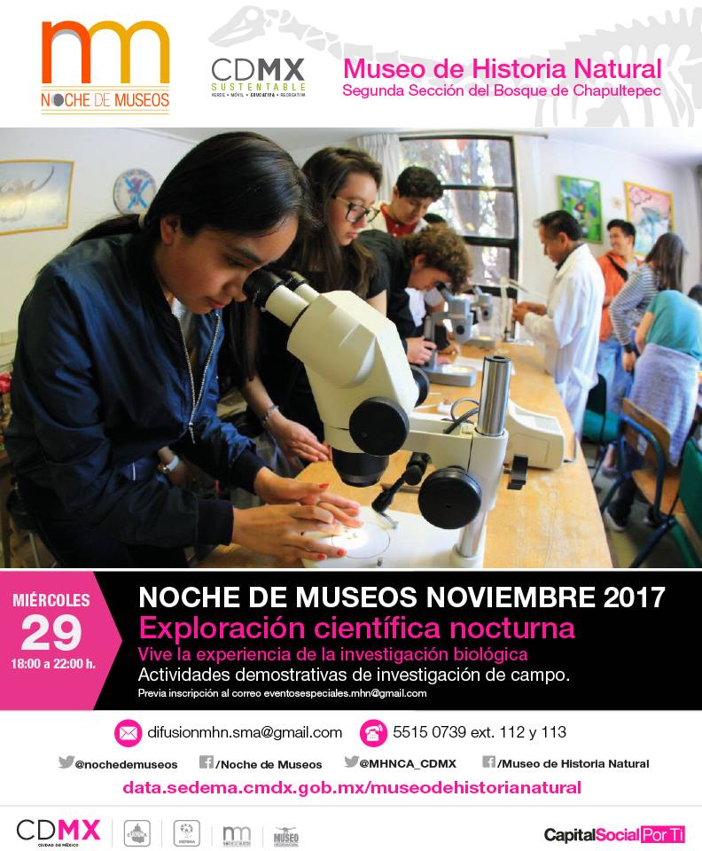 Noche de Museos 2017