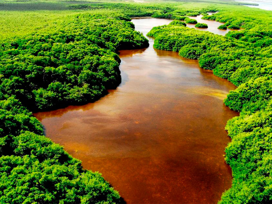 Reserva de la Biósfera los Petenes