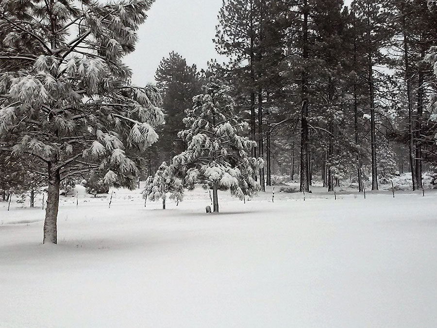 destinos con nieve en México