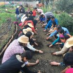 Cultiva Ciudad cumple cinco años promoviendo la agricultura urbana