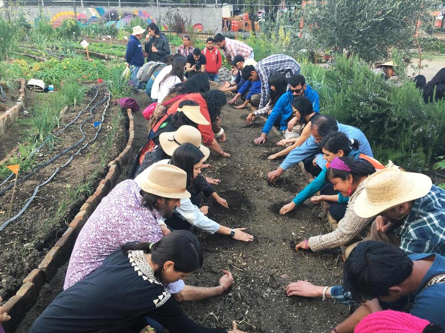 Cultiva Ciudad cumple cinco años promoviendo la agricultura urbana