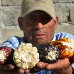 5 razones para asistir a la Feria de la Agrobiodiversidad en Oaxaca