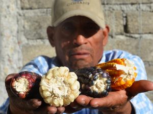 5 razones para asistir a la Feria de la Agrobiodiversidad en Oaxaca