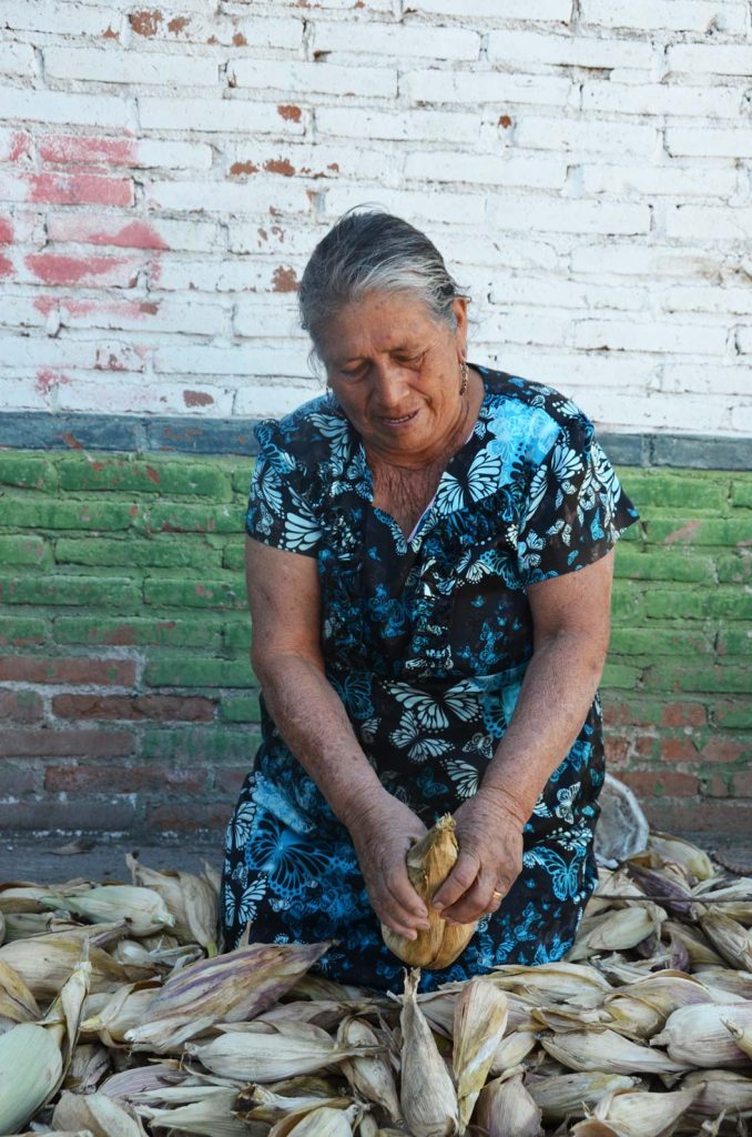 Josefa Hernández y sus maíces Foto: Mariana Castillo