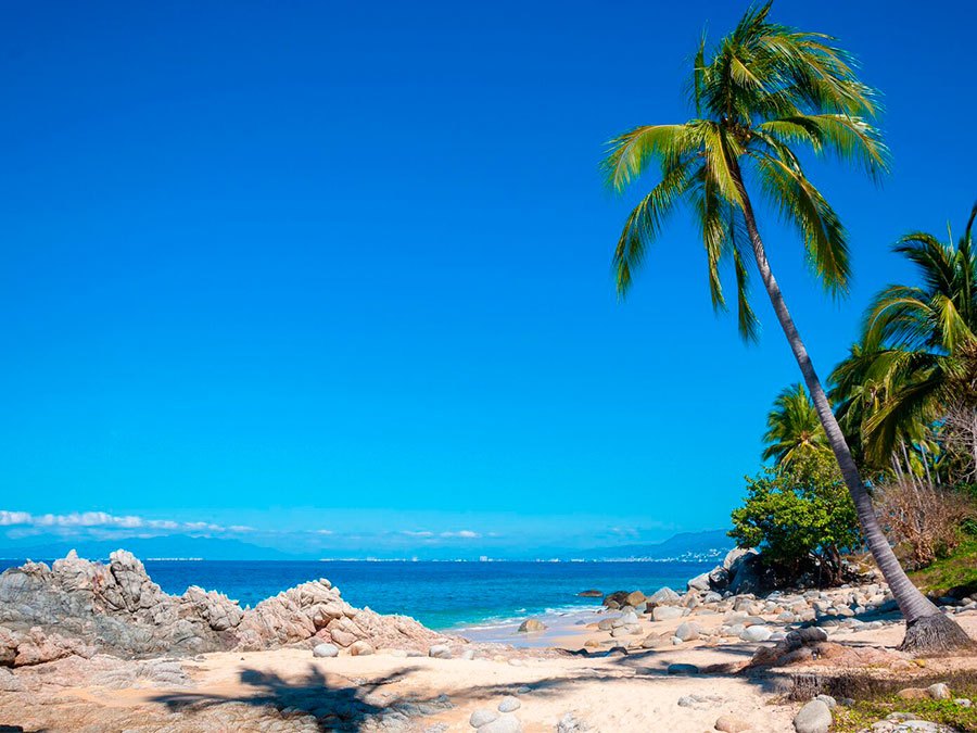 Playa camarones la favorita de las tortugas