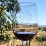 Viñedos y vinícolas en el Valle de Guadalupe que debes visitar