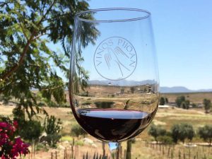 Viñedos y vinícolas en el Valle de Guadalupe que debes visitar