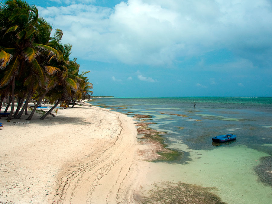 Bahía de Matanchén