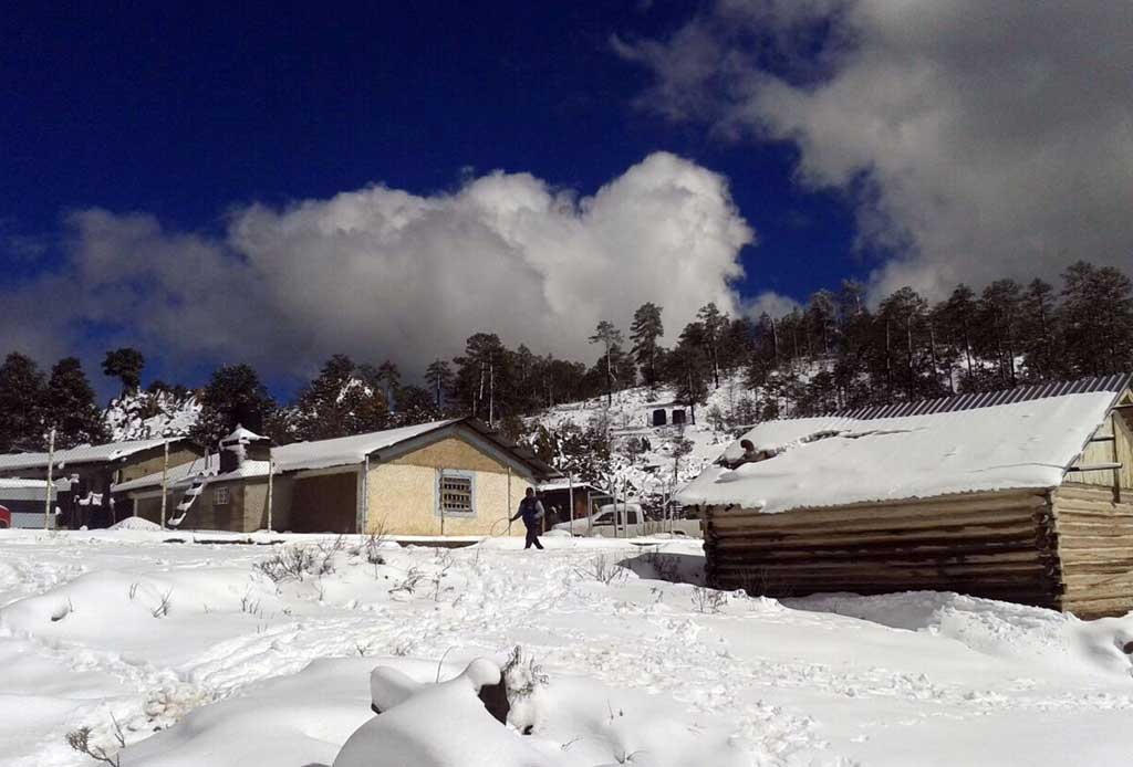 Vacaciones en Durango: La Rosilla, paisaje nevado Foto: Cortesía