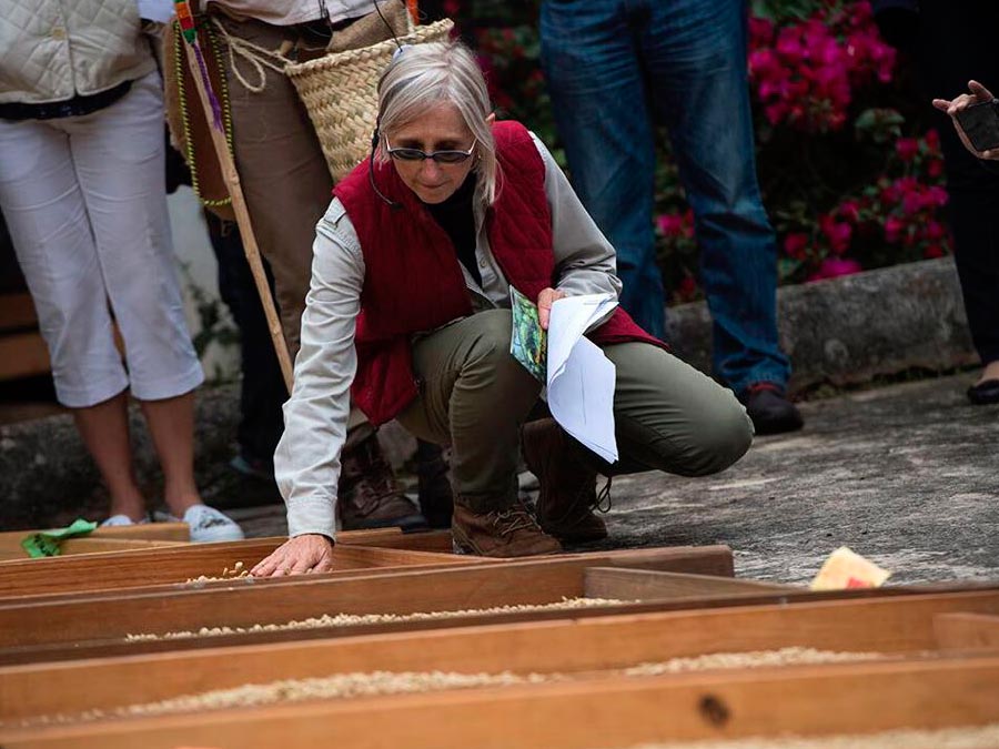 Marisa Moolick Gutiérrez, parte de la cadena del café veracruzano Foto: Cortesía