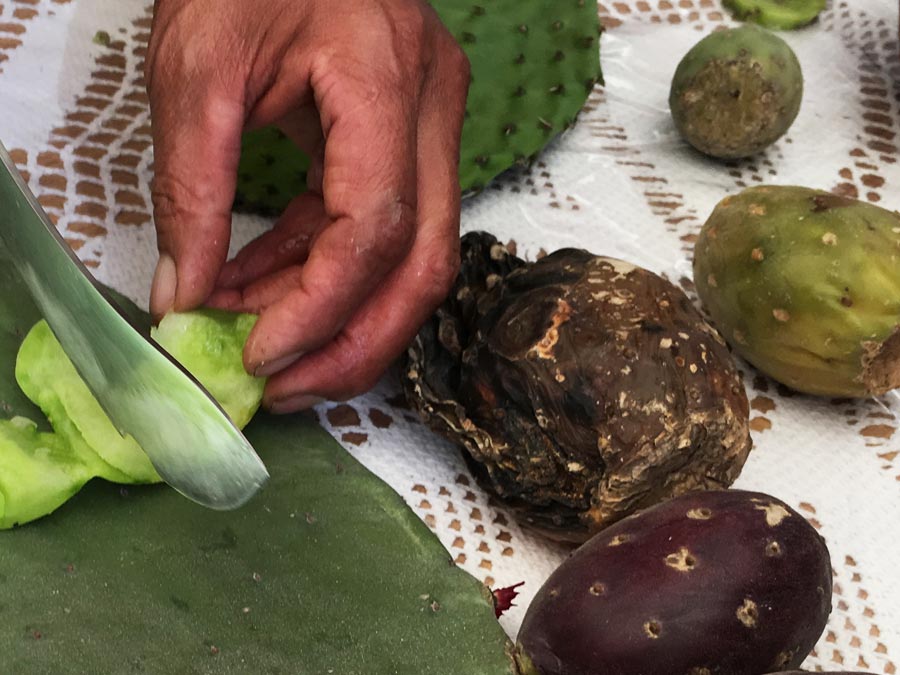 México Alimentaria 2017: sabores de la comida tradicional presentes en la expo