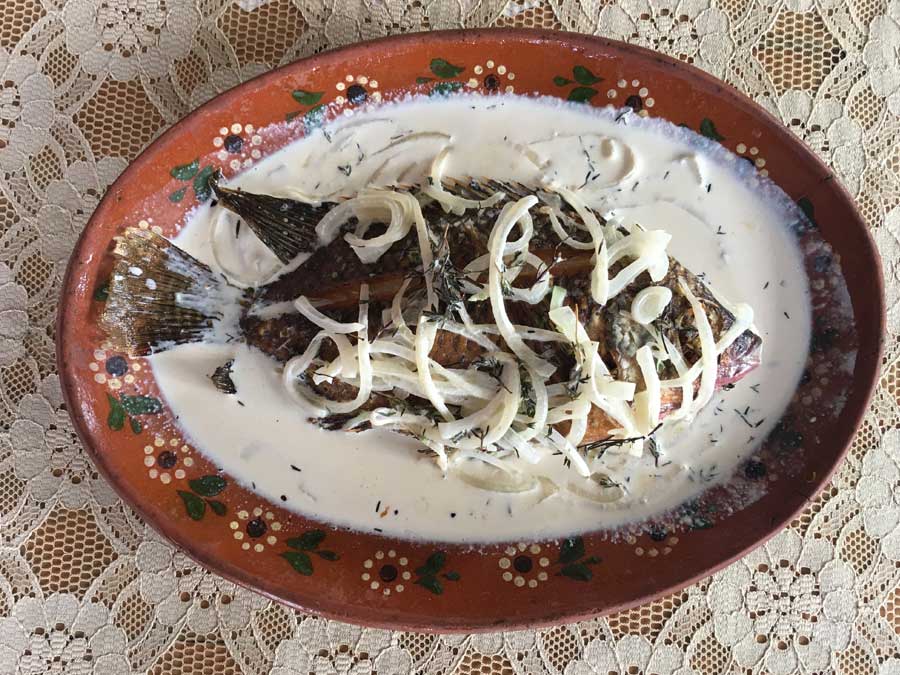 Mojarra a la crema una de las mojarras en Veracruz que debes probar Foto: Mariana Castillo