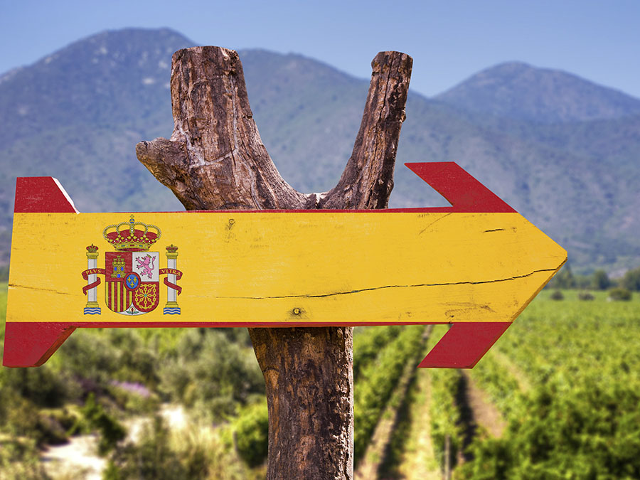 Viaje por las regiones de vinos en España: aprende y disfruta