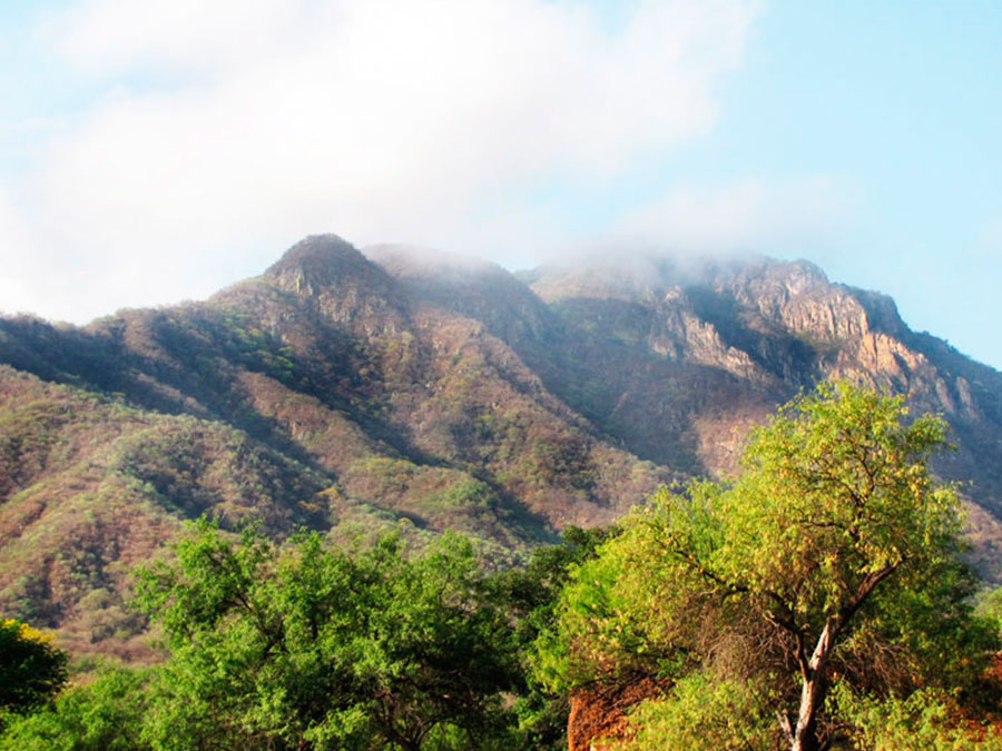 Reserva Natural de Cuchujaqui