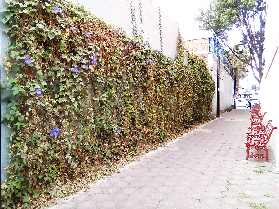 Callejón del Beso en Azcapotzalco