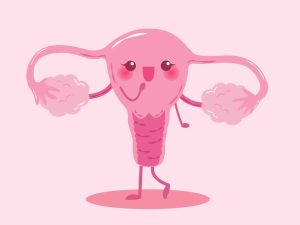 ¿Cómo debe ser el ciclo menstrual?