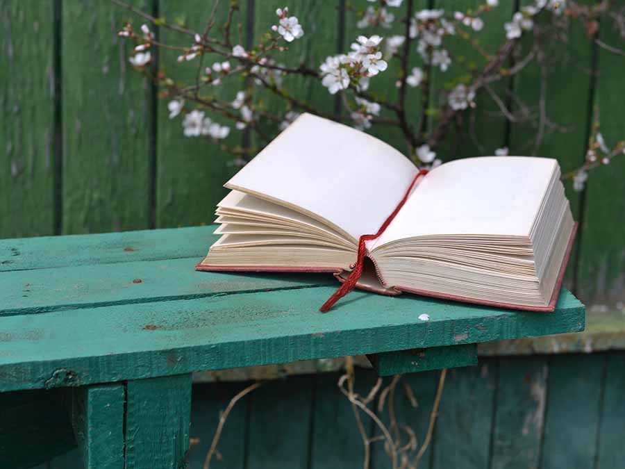 Gran siembra de libros o cuándo se desempolvan libros y se dejan en un lugar público