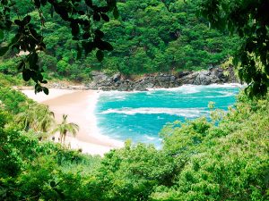 Playa la Boquilla, Oaxaca, un destino para desconectarse del mundo