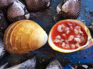 Comida sonorense: 10 delicias que debes probar