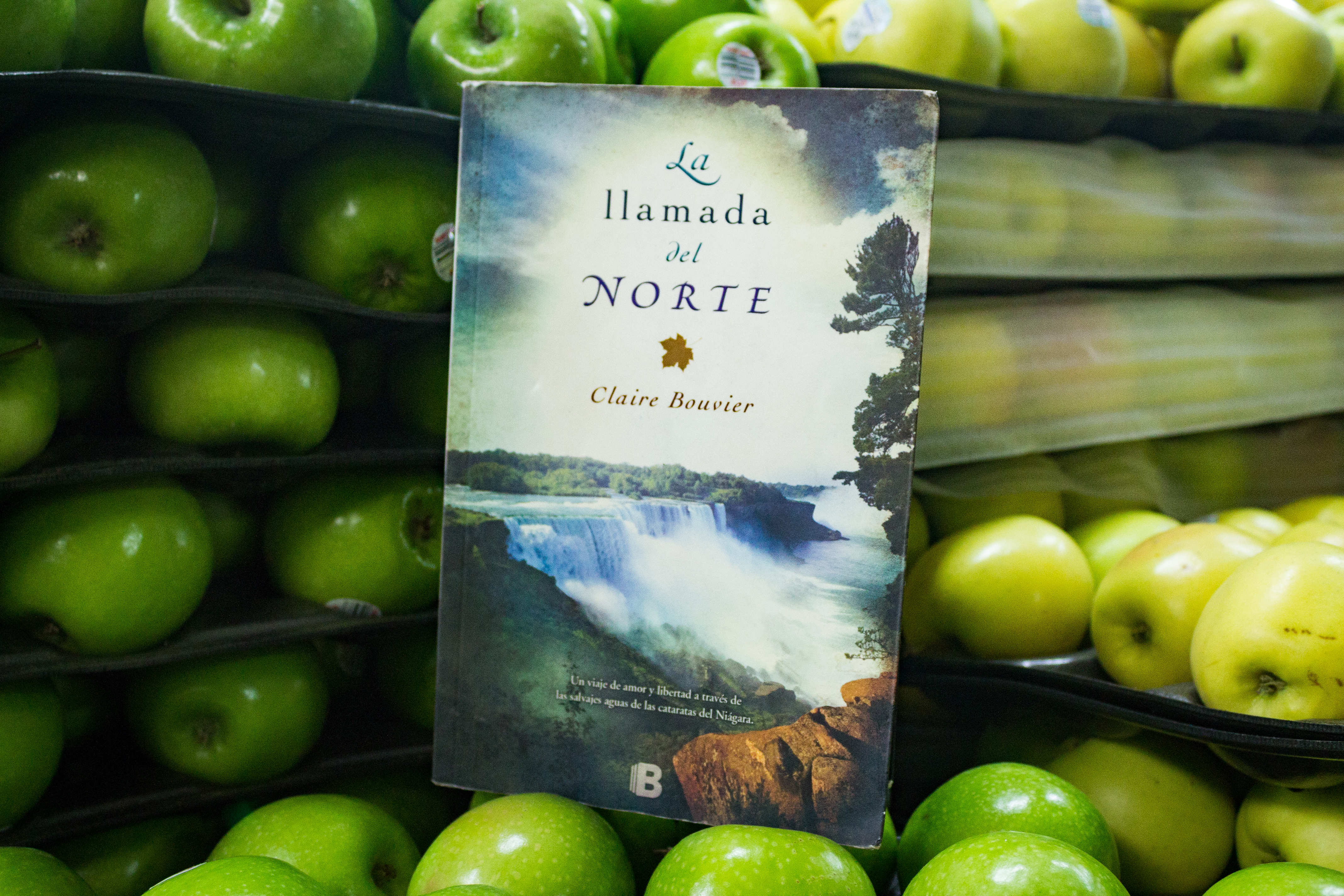 3 libros para buscar en la Biblioteca Gregorio Samsa, de la Central de Abasto