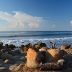 Playa Ventura en Guerrero, un lugar donde no cabe el estrés