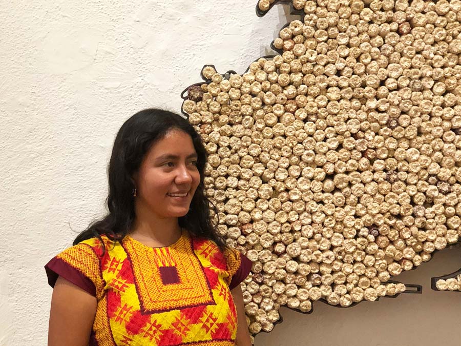 Doo Yachi fue la exposición de Ana Hernández, que se exhibió en 2018 en la Galería Quetzalli, de la ciudad de Oaxaca (Constitución 104, colonia Centro), y que a través de 13 piezas que la conforman ayudó a entender más esta región oaxaqueña, desde diferentes perspectivas. Foto: Mariana Castillo