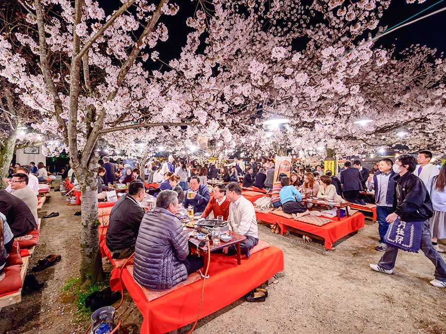 Hanami