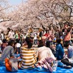 Expo Japan MX: vivir unos instantes de Japón en México