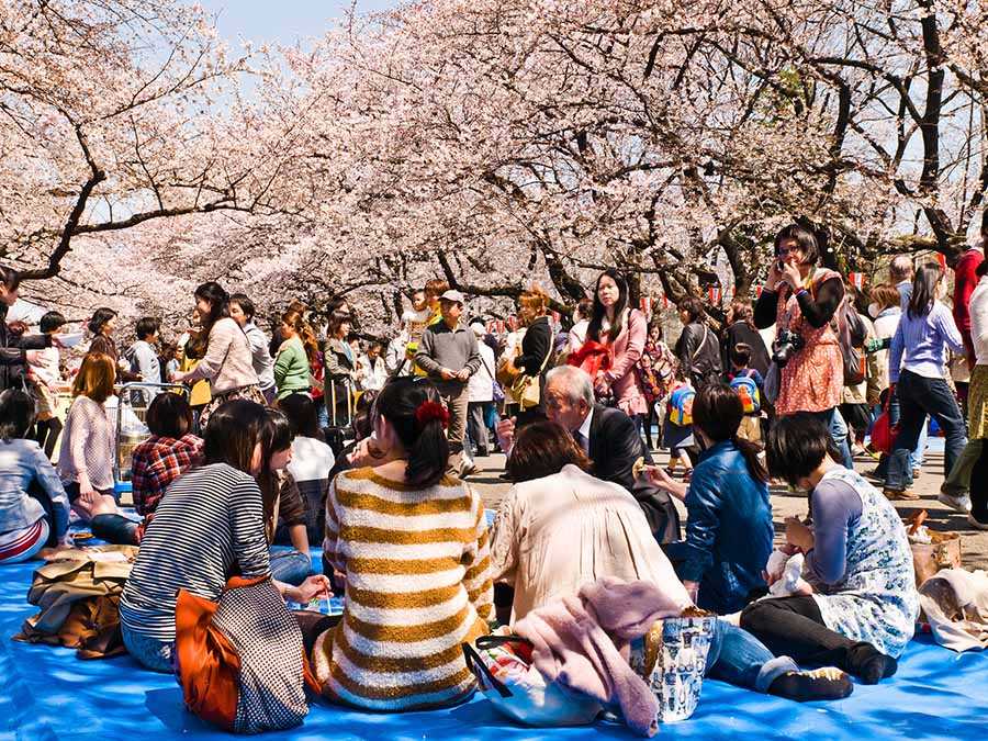 Hanami