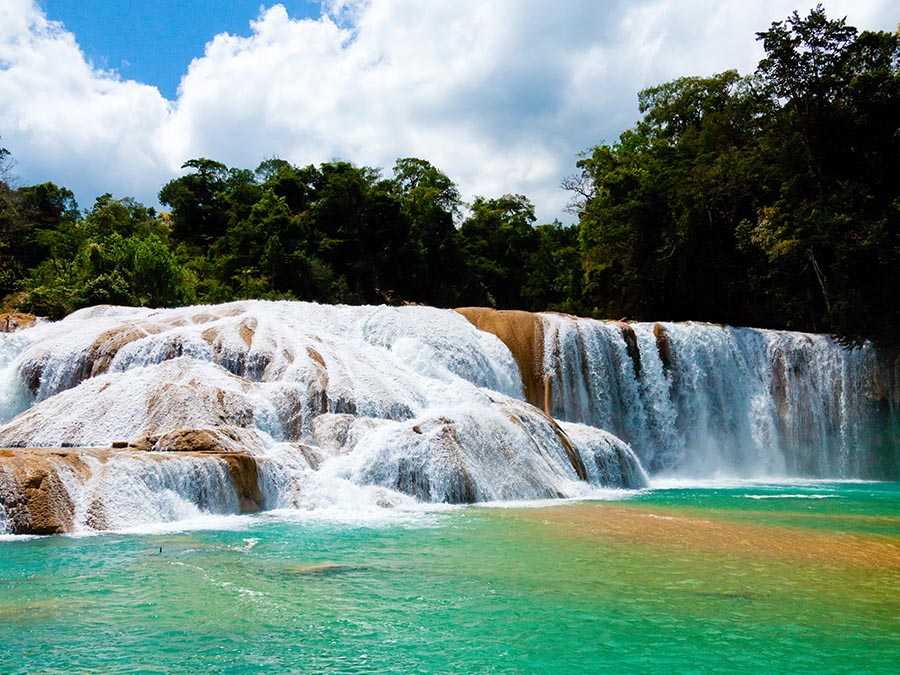 3 Cascadas en Palenque en las que te tienes que sumergir