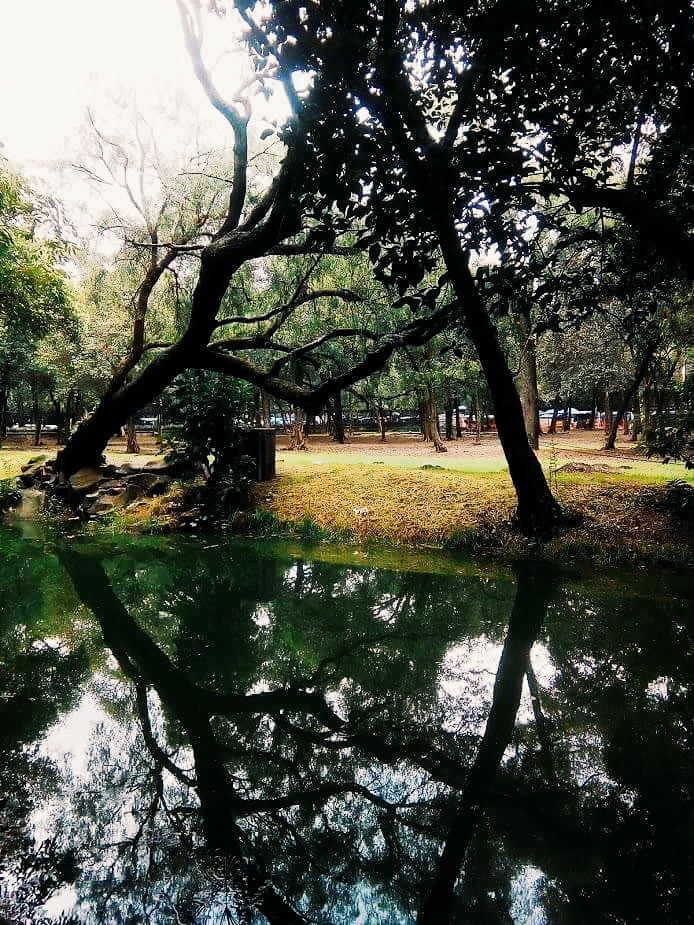 Jardin Sensorial Chapultpec